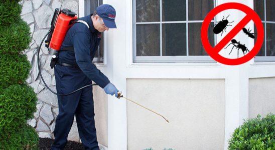 Gülyalı Akrep İlaçlama böcek ilaçlama ve haşere kontrolü — ilaclama-tr.com
